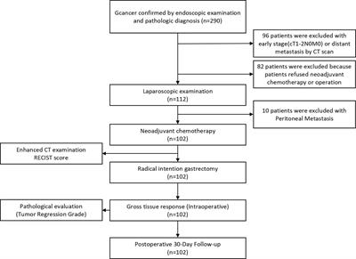 Application of Gross Tissue Response System in Gastric Cancer After Neoadjuvant Chemotherapy: A Primary Report of a Prospective Cohort Study